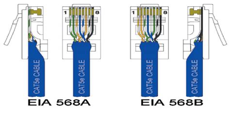 wiring diagram cable        ethernet wirings work network