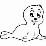 Seal Coloring Baby Pages Getcolorings sketch template