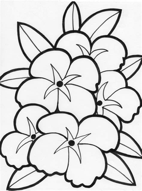 summer flowers printable coloring pages  large images