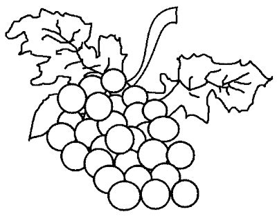 grape fruit coloring pages