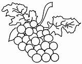 Coloring Pages Fruit Grape sketch template