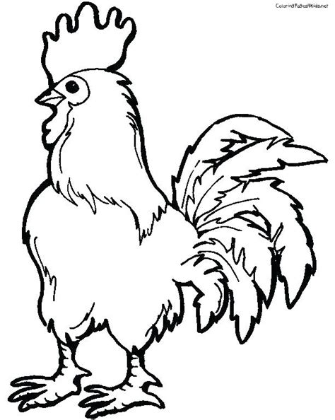 rooster coloring pages  kids  getcoloringscom  printable