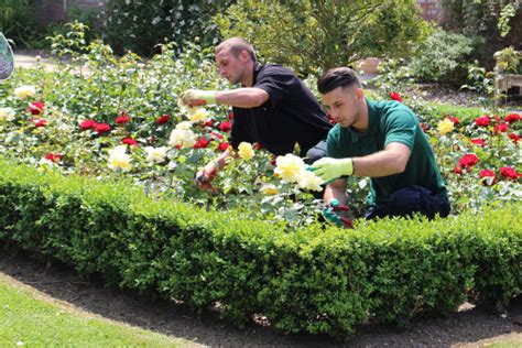 Level 3 Advanced Technical Diploma In Horticulture Nlbc