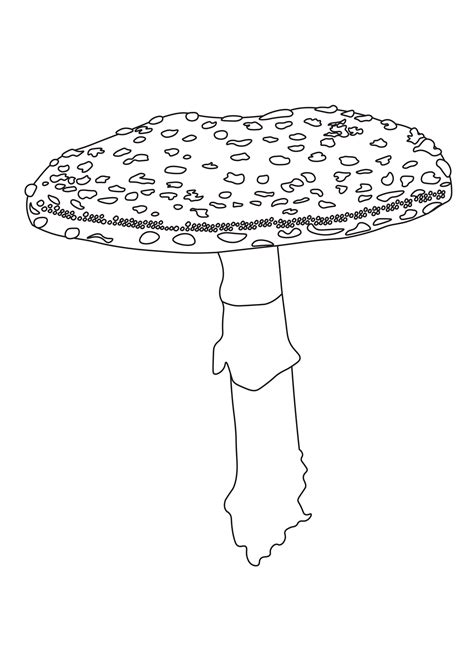 mushroom coloring page coloring pages