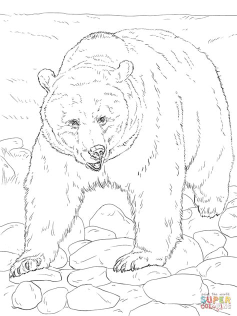 realistic grizzly bear coloring page  printable coloring pages