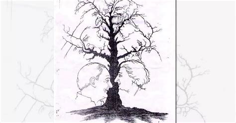 faces      tree counting conundrum  viral