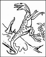 Kolorowanki Dinozaury Dinosaurier 2459 Pobrania Drukuj Pobierz Coloringfolder sketch template