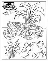 Coloring Pages Snake Kingsnake California sketch template