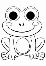 Sapo Rana Ranas Frogs sketch template