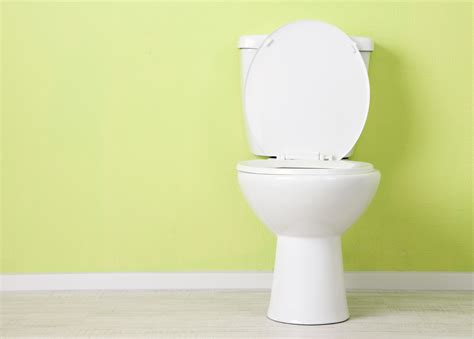 clean  toilet  ways electric drain