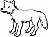 Coyote Coloring sketch template