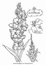 Gladiolus Gladioli Tattoodaze sketch template