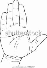 Hand Palm Drawing Sketch Vector Illustration Stock Drawn sketch template