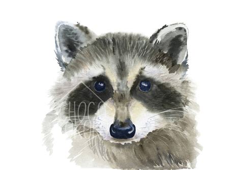 Raccoon Portrait Fine Art Print By Chocovenyl