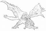 Pages Wyvern Dragon Coloring Template sketch template