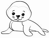 Foca Robben Ausmalbilder Seals Seehund Ausmalbild Otters Focas Ausdrucken Categorías sketch template