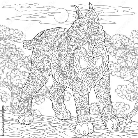 wildcat lynx bobcat coloring page colouring picture adult coloring
