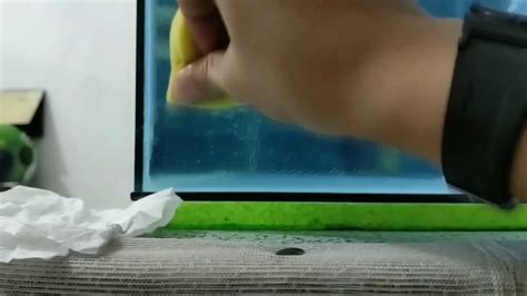 menit  bersihkan lem solasi  kaca aquarium youtube