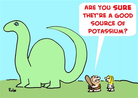 potassium  essentials health boundaries