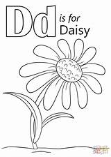 Daisy Coloring Letter Pages Drawing Outline Printable Duck Flower Template Supercoloring Getdrawings sketch template