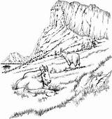 Coloring Pages Landscape Goats Mountain Adults Adult Printable Goat Mountains Rocky Detailed Coloring4free Realistic Two Animal Scenery Coupons Color Landscapes sketch template