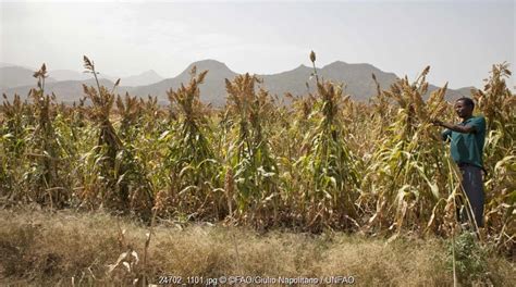 气候智能型农业资料集网站 联合国粮食及 农业组织