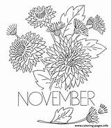 November Flower Coloring Chrysanthemum Pages Printable Month Flowers Book Print Vintage Color Henkes Kevin Transfers Kids Getcolorings Advertisement Qisforquilter Info sketch template