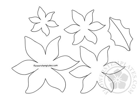 poinsettia paper flower template printable word searches