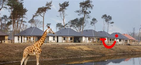safari resort beekse bergen vakantiepark hilvarenbeek nederland tui