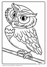 Bird Parrot Sheets sketch template