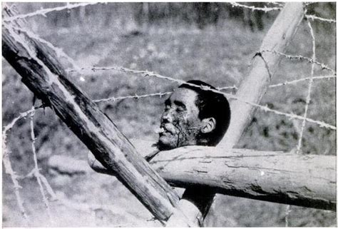 Nanking Massacre Photos
