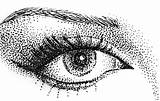 Stippling Pointillism Drawing Eye Drawings Pen Dotted Puntillismo Dot Eyes Ink Pencil Techniques Dibujo Pointilism Painting Tattoo Elements Tecnicas Floral sketch template