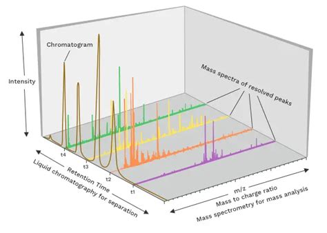 liquid chromatography mass spectrometry lc ms ms analysis northeast