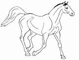 Horse Coloring Pages Princess Printable Print Horses Kids Realistic Drawing Jumping Carousel Para Colorir Rearing Color Getdrawings Getcolorings Comments Library sketch template