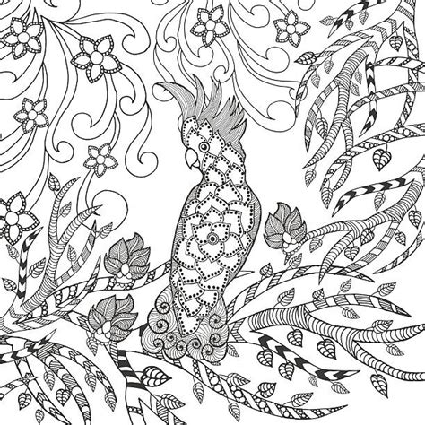 owl head tattoo clip art illustrations royalty  vector