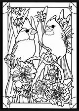 Coloring Pages Birds Stained Glass Cardinal Cardinals Adult Bird Book Dover Beautiful Printable Adults Patterns Pairs Color Publications Mated Books sketch template