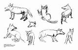 Gesture Coroflot Lindo Gestures Animal sketch template