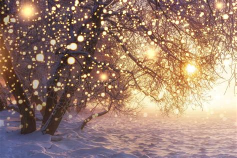 Christmas Nature Winter Landscape With Shining Snowflakes Glowing