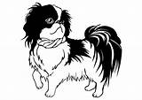 Shih Tzu sketch template