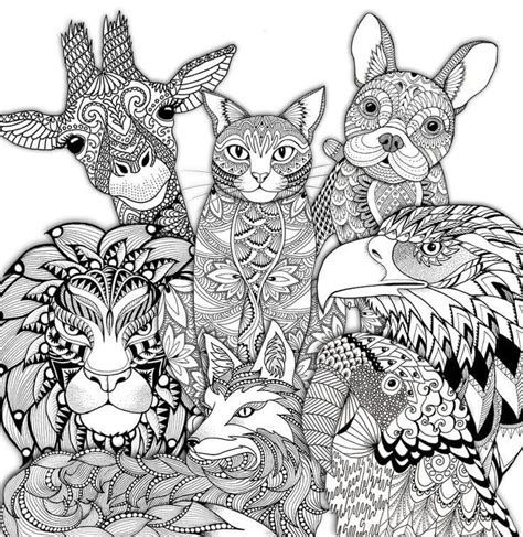ideas  animal coloring pages  adults home family