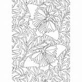 Coloriages Papillons Pratique sketch template
