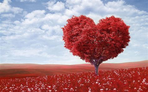 romantic love wallpaper for android apk download