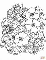 Coloring Pages Bird Flowers Hoopoe Kids Birds Printable Eurasian Hop Drawing Bloemen Fun sketch template