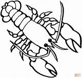 Coloring Crawfish Lobster Popular Printable sketch template