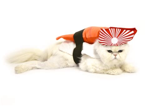 sushi cat costume pet costume center