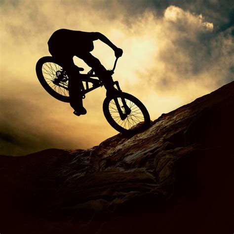 mountain bike rider wall mural photo wallpaper photowall