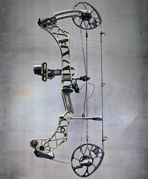 recurve  compound bow understand  differences outdoor life