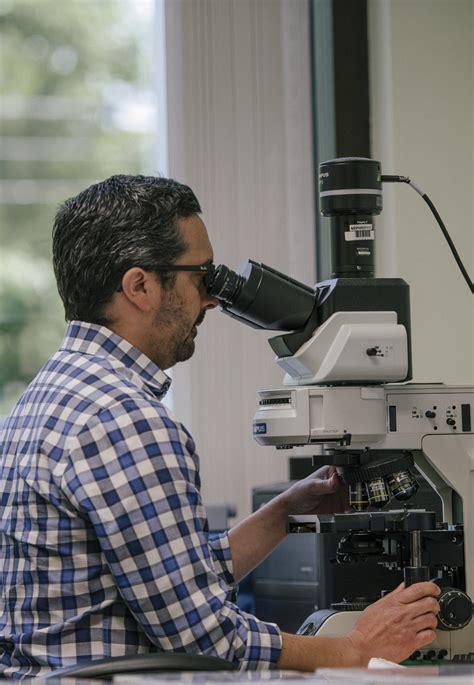 Renal Pathologist Attending Position At Arkana Laboratories