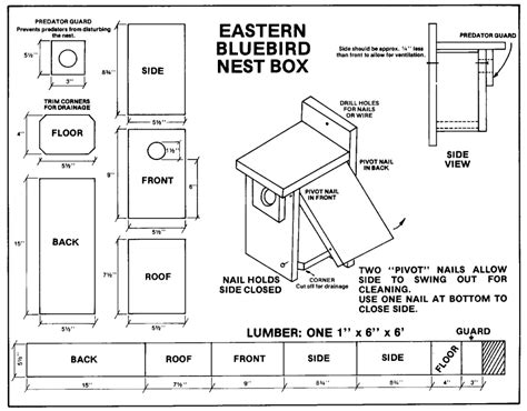 building  bluebird nesting boxes