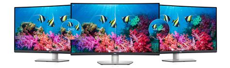 monitor buying guide dell usa